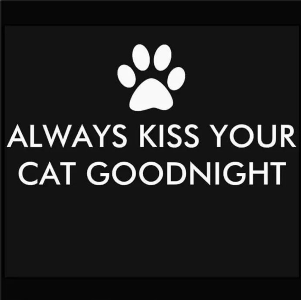 Good night